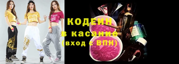 ПСИЛОЦИБИНОВЫЕ ГРИБЫ Арсеньев