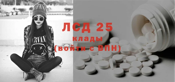 ПСИЛОЦИБИНОВЫЕ ГРИБЫ Арсеньев