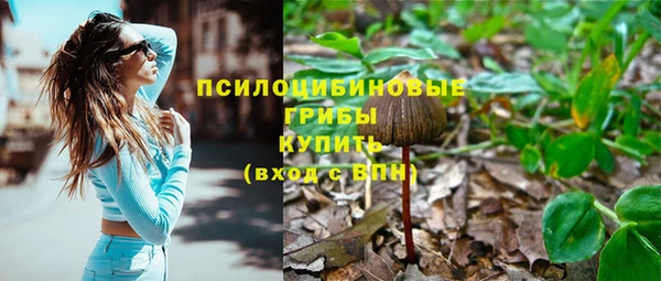 ПСИЛОЦИБИНОВЫЕ ГРИБЫ Арсеньев
